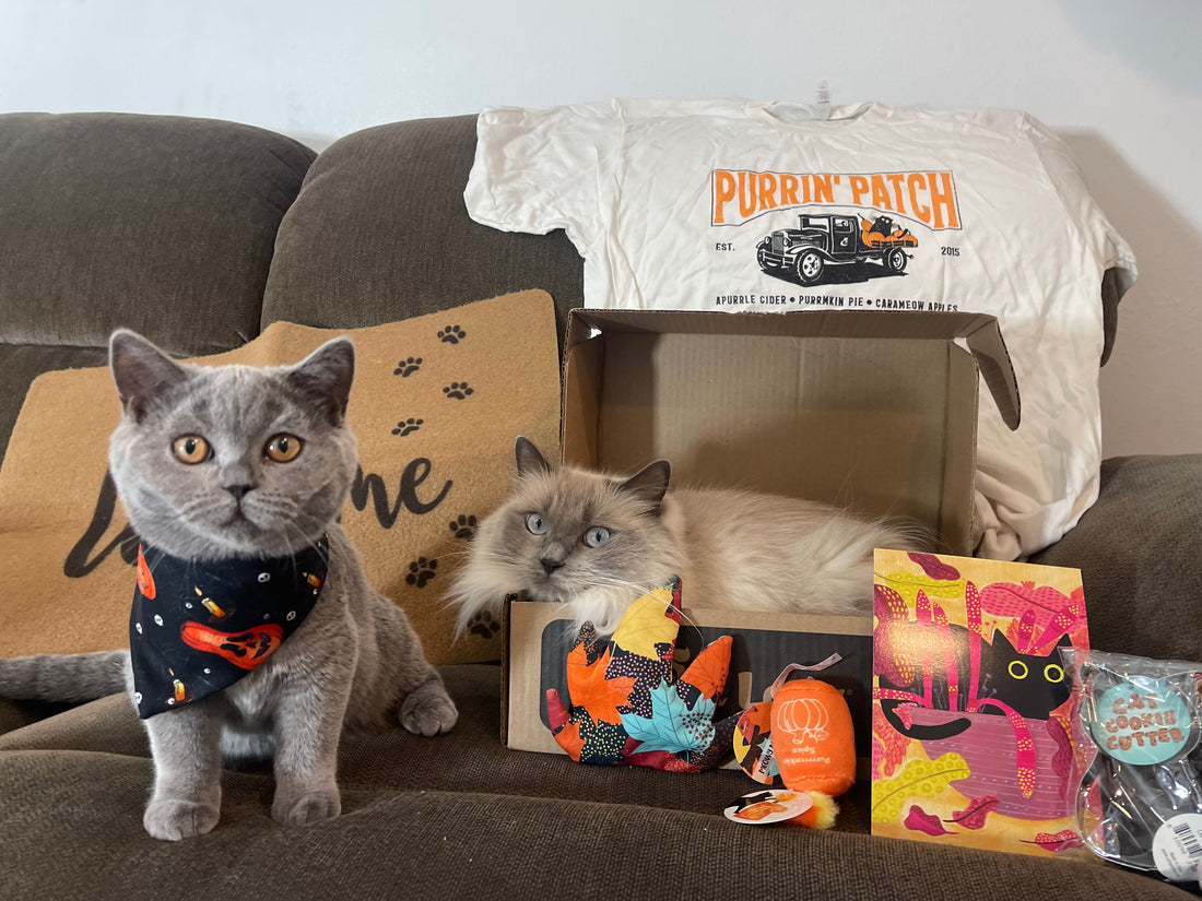 September Cat Lady Box